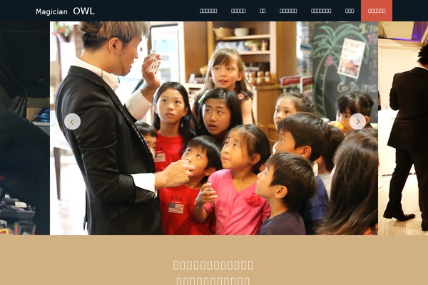 Magic theme site design template sample