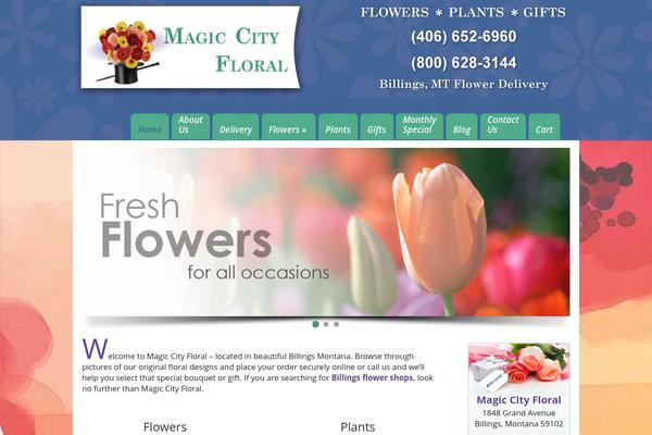 Site using Woocommerce-gateway-authorize-net-cim plugin