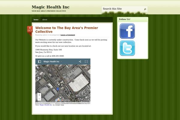 magichealthinc.com site used Springloaded