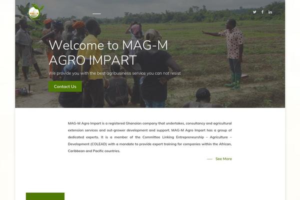 Salient Child theme site design template sample