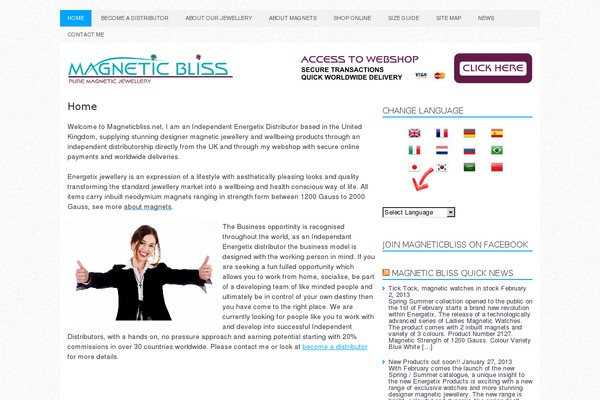 magneticbliss.net site used Newsmorning