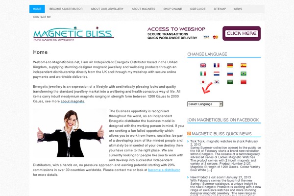 Newsmorning theme site design template sample