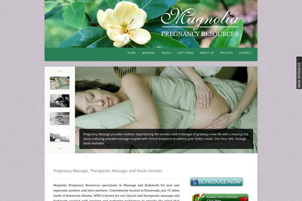 Acoustic theme site design template sample