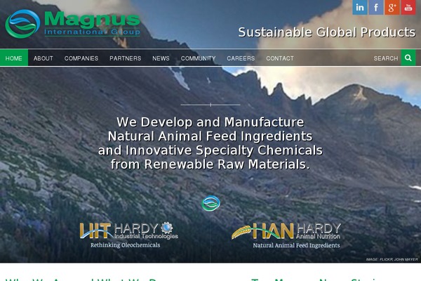 magnusig.com site used Mig