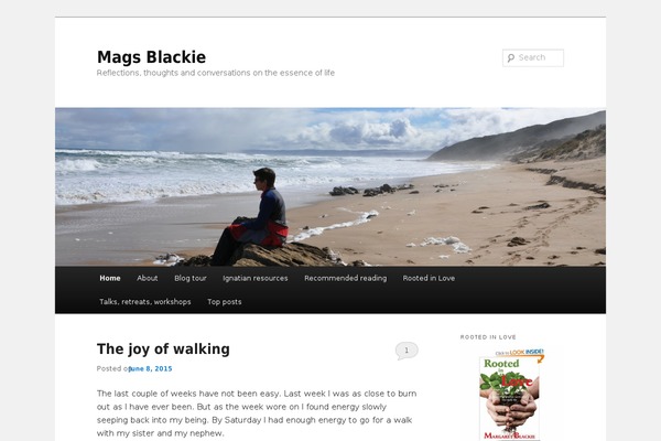 Site using Follow plugin