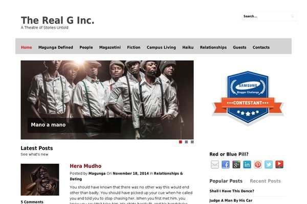 Site using WP Retina 2x plugin