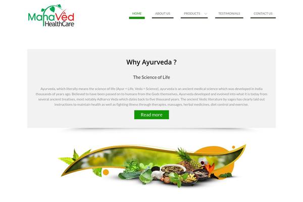 WEN Business theme site design template sample