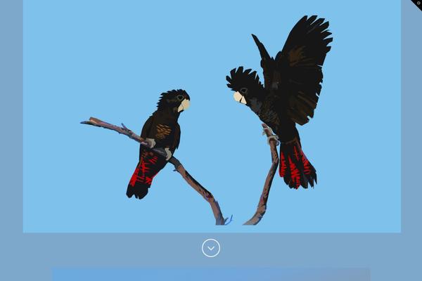 X | The Theme theme site design template sample