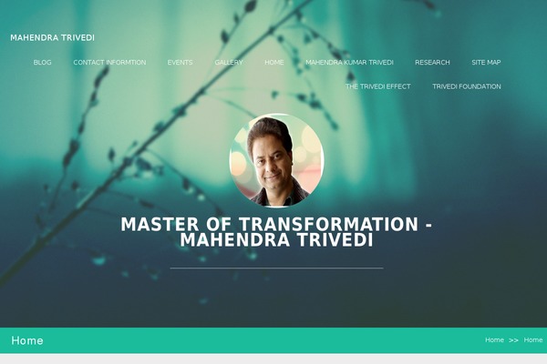 Convac Lite theme site design template sample