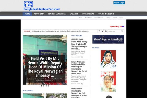 Max Mag theme site design template sample