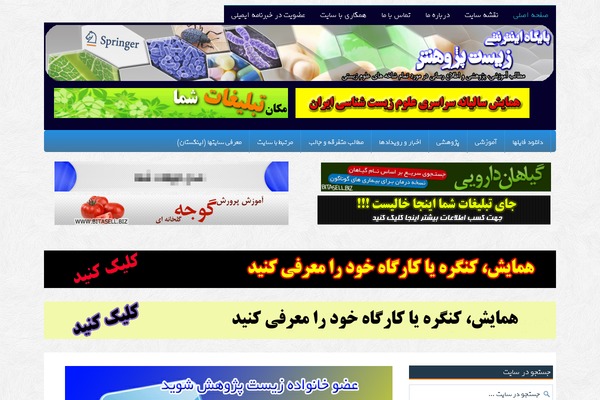 Site using Wp-shamsi plugin