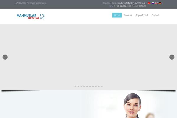 Site using Lang plugin
