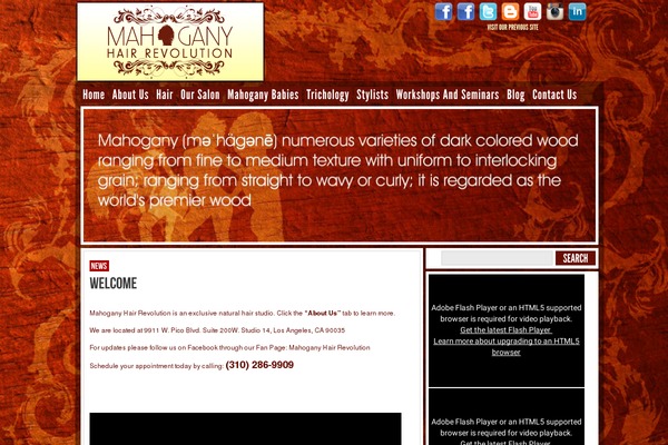 Magzimus theme site design template sample