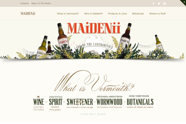 Site using Astra-addon plugin