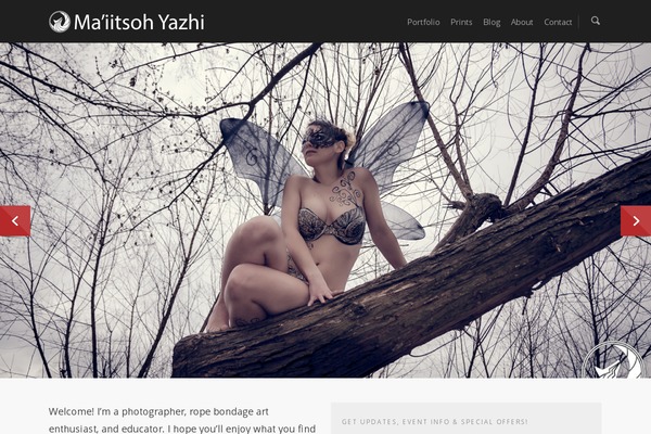 Salient theme site design template sample