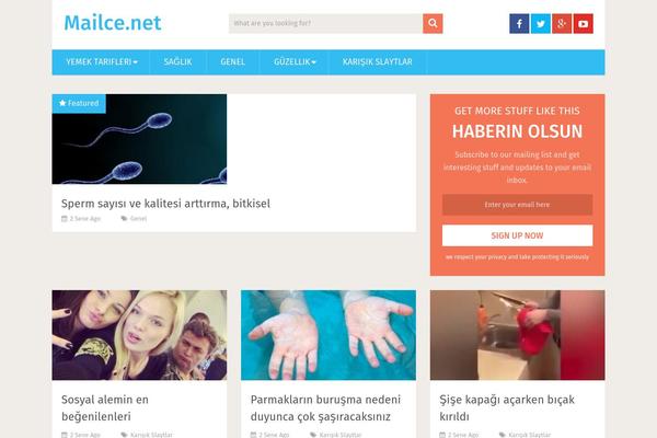 SociallyViral theme site design template sample