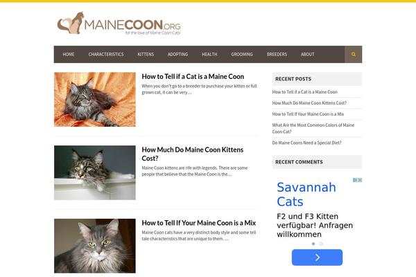 Clickright theme site design template sample
