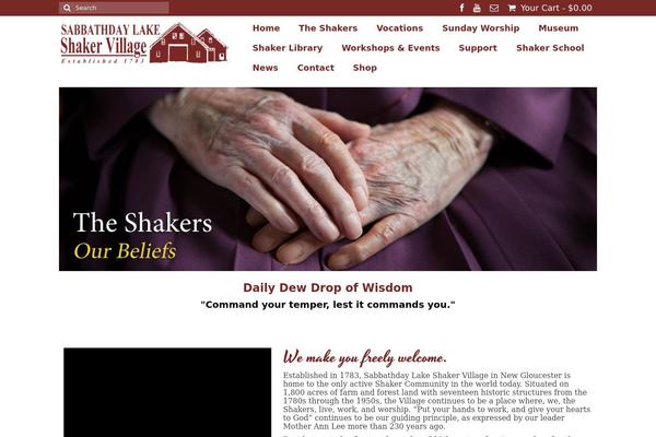 Virtue theme site design template sample
