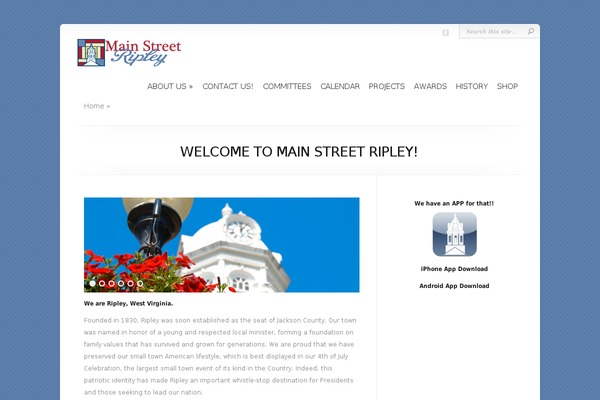 eBusiness theme site design template sample