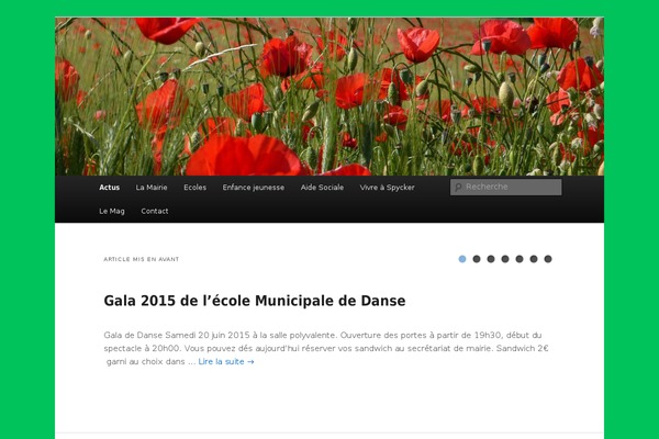 Site using Counterize plugin