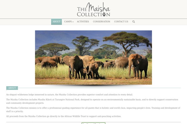 The7 theme site design template sample