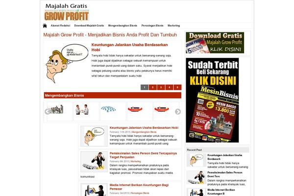 Newswp theme site design template sample