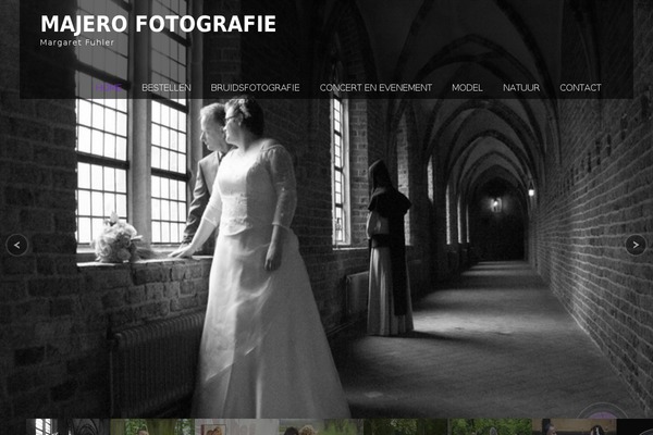 Moesia theme site design template sample