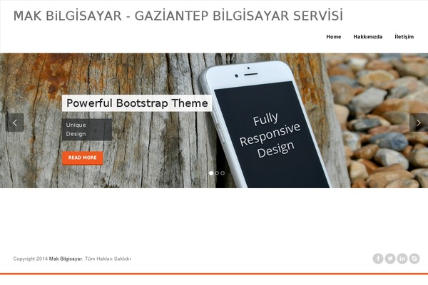 Appointment theme site design template sample