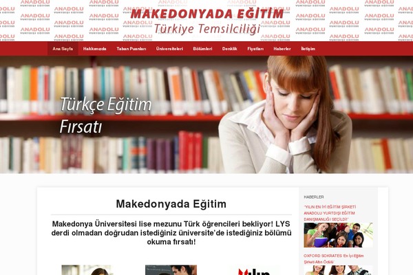 Erudito theme site design template sample