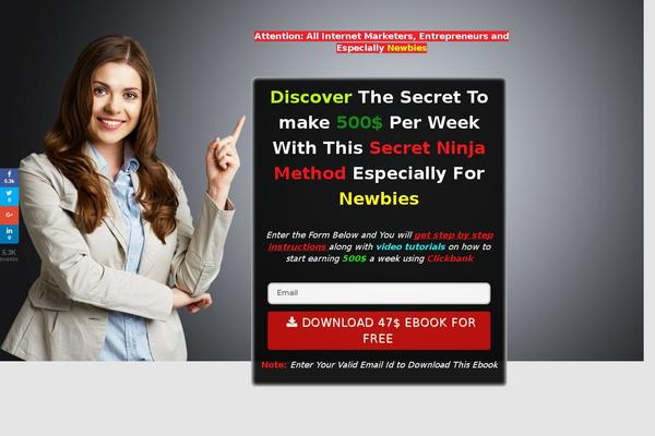 Responsive Deluxe theme site design template sample