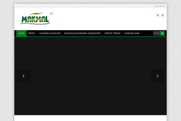 Site using Wp-google-places-review-slider plugin