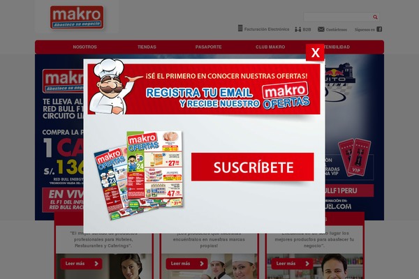makro theme websites examples