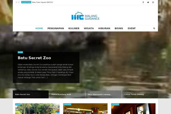 Site using Newstube-shortcodes plugin