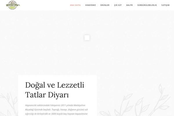 Bridge theme site design template sample