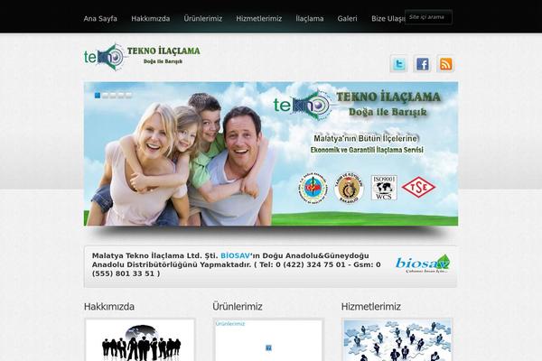Boldy theme site design template sample