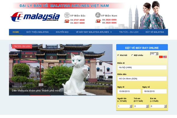 Asiana theme websites examples