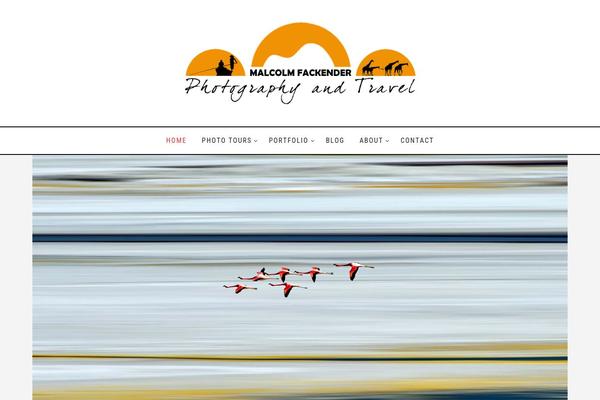 malcolmfackender.com site used Dreamscape