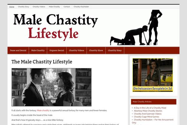 Site using Simple Security Firewall plugin