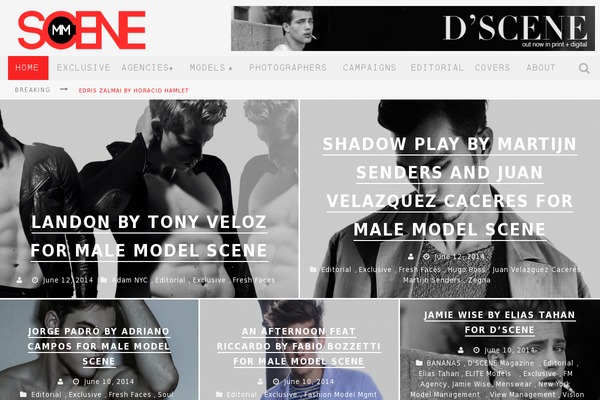 Site using Ad-ace plugin