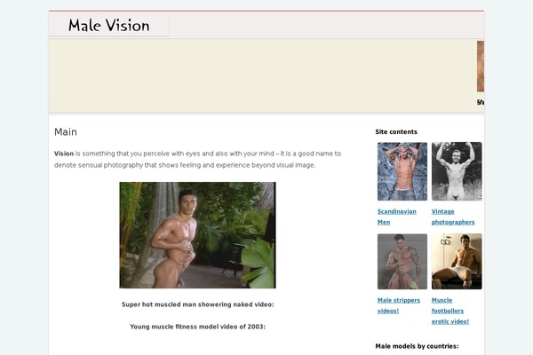 Vision theme site design template sample