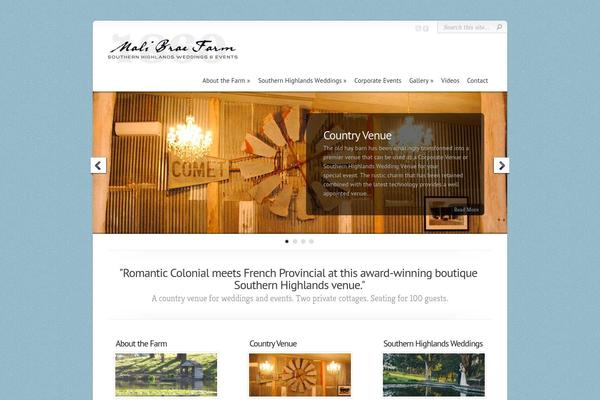 Chameleon theme site design template sample