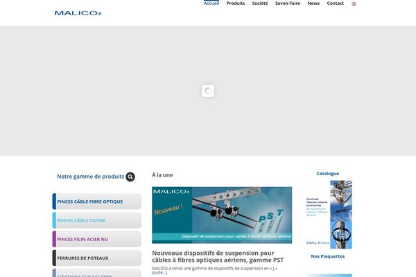 Site using Profi-search-filter plugin