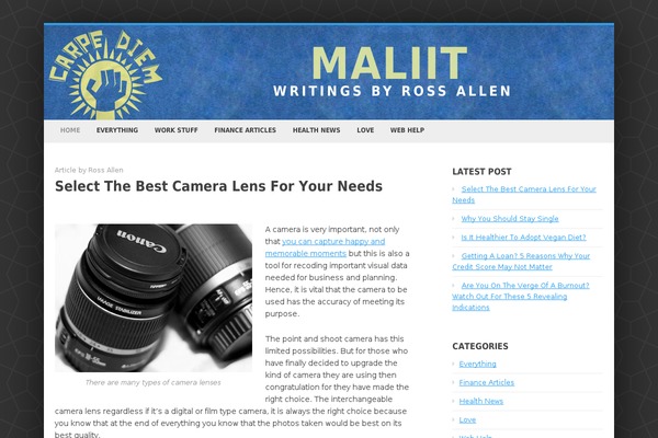Enterprise Lite theme site design template sample