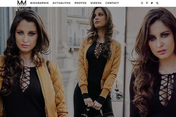 15Zine theme site design template sample