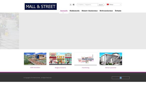 mallstreet theme websites examples