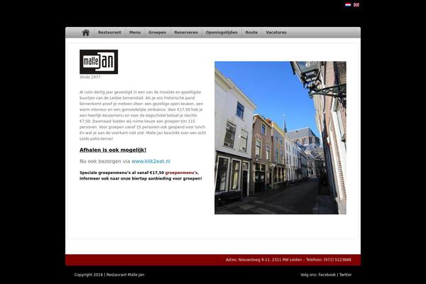 application theme site design template sample