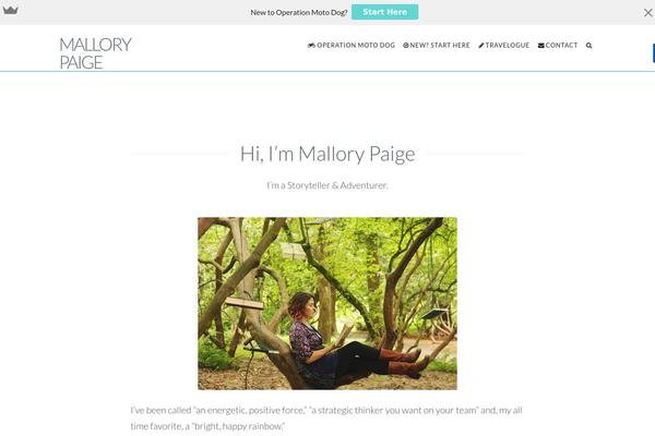 Site using WP Post Navigation plugin