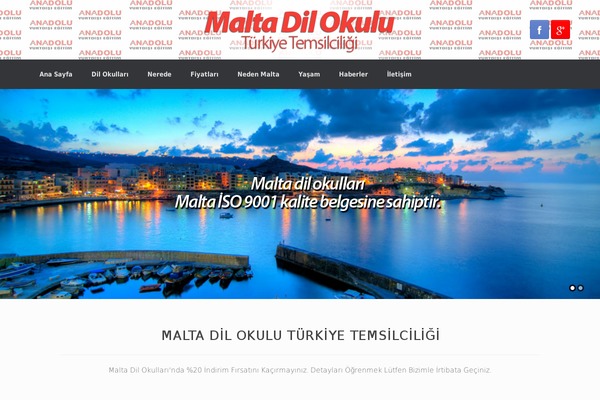 Erudito theme site design template sample