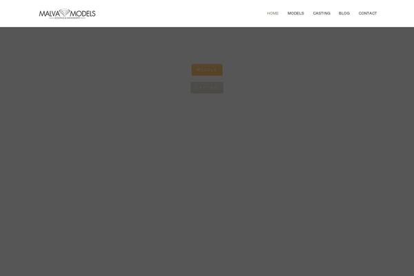 Site using Ax-social-stream plugin