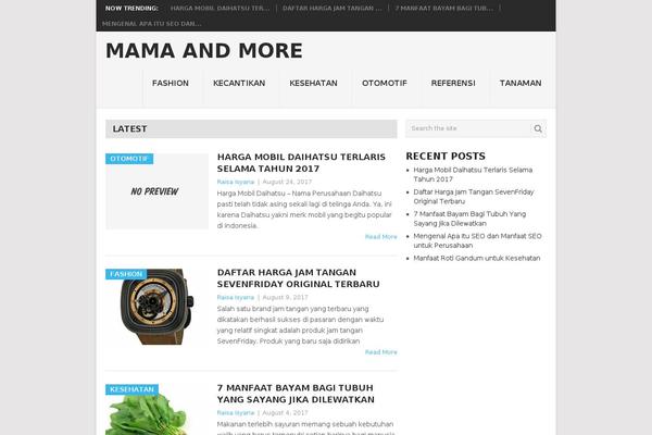mama-andmore.com site used HashOne